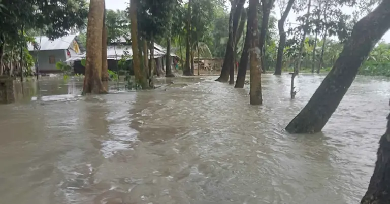 প্লাবিত নিম্নাঞ্চল
